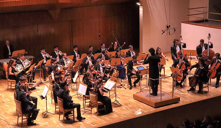 Madrid Festival Orchestra