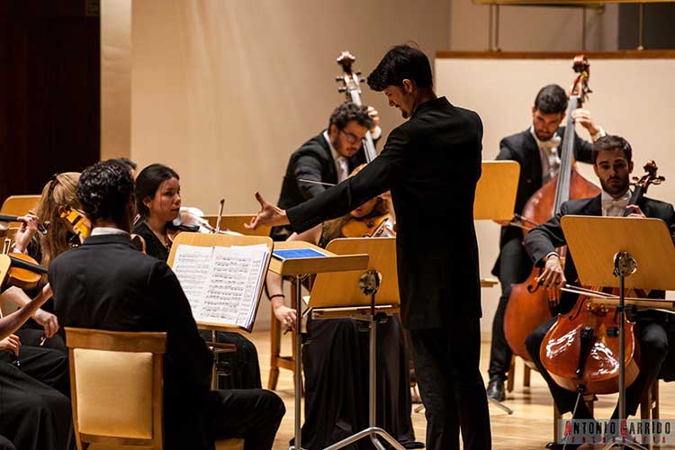 Madrid Festival Orchestra