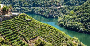 Ribeira Sacra