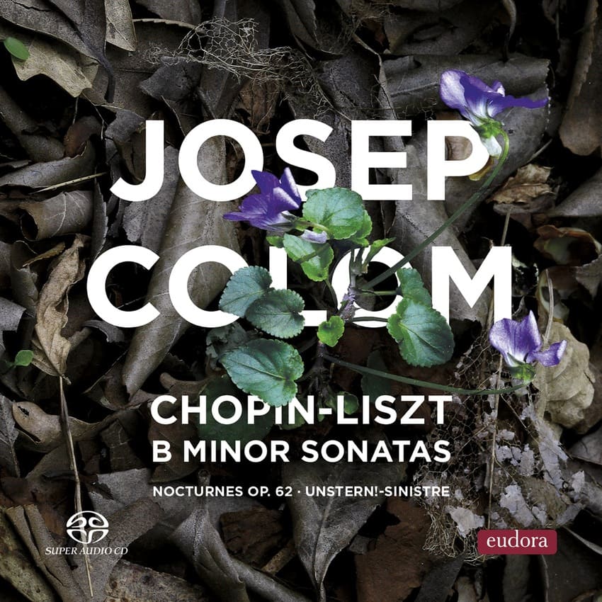 Chopin-Liszt B Minor Sonatas