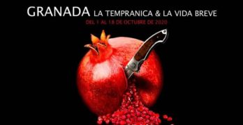El Teatro de la Zarzuela vuelve a alzar el telón con ‘Granada’, una apuesta que reúne ‘La Tempranica’ de Giménez y ‘La vida breve’ de falla en lo que es la culminación de la “trilogía española” de Giancarlo del Monaco
