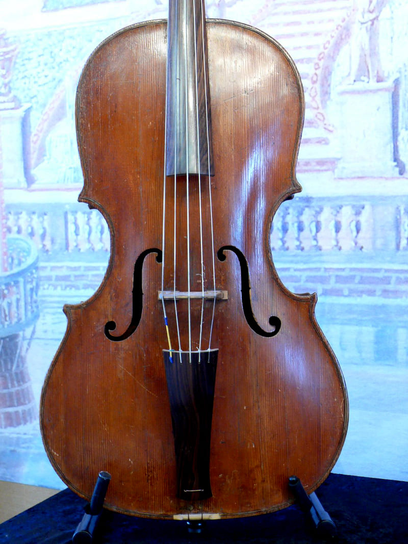 Violonchelo piccolo.