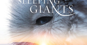 Tale of the Sleeping Giants