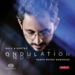 DISCOS 286 ONDULATION