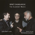 DISCOS 295 BUSQUE (BENET CASABLANCAS)