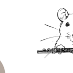 Proyecto cazador ratas