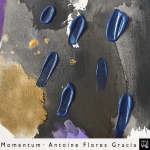 DISCOS 295 MOMENTUM