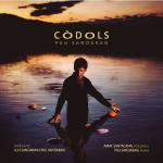 DISCOS 298 CODOLS