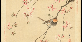 Keibun Matsumoto - Red Avadavat and Cherry
