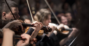 Músico de orquesta, violín