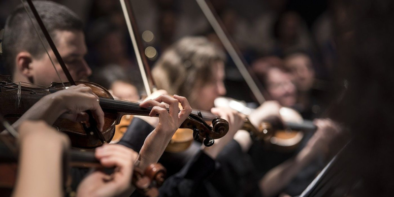 Músico de orquesta, violín