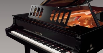 YAMAHA 318 2