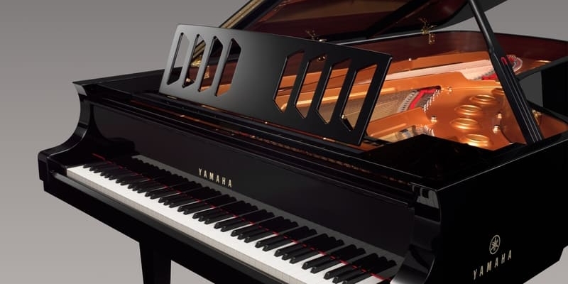YAMAHA 318 2