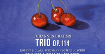 DISCOS 328 TRIO